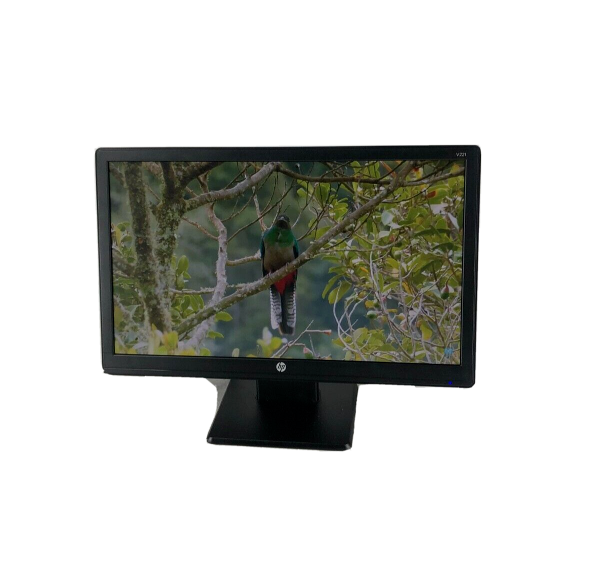 HP V221 22 Inch Widescreen LED Computer Monitor 1920 x 1080 With Cables