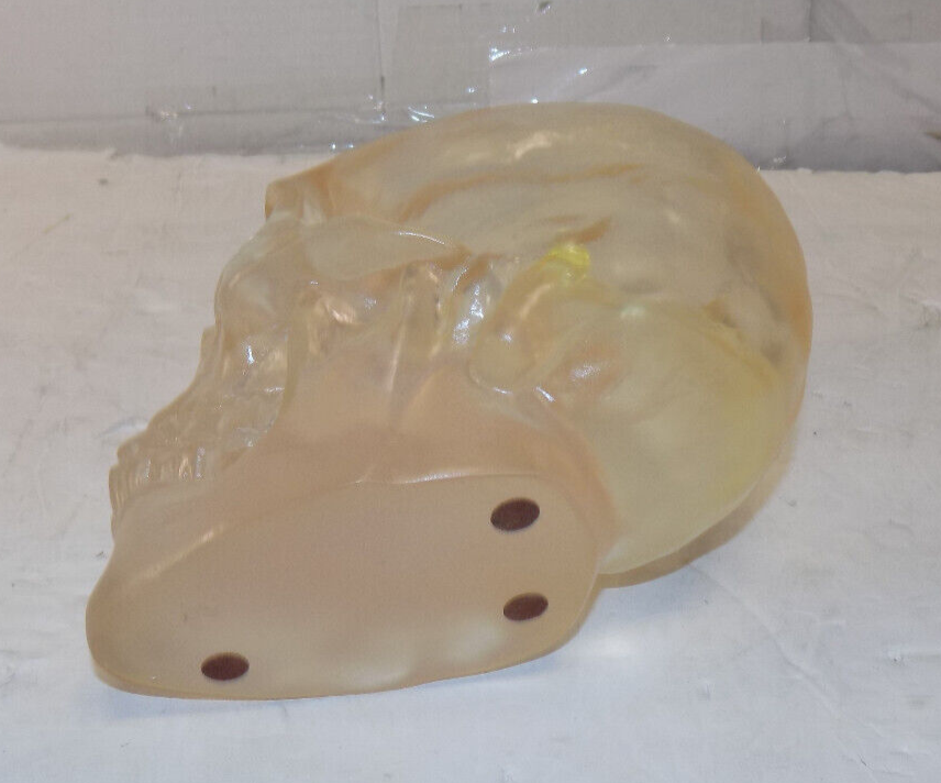 Clear Translucent Acrylic Human Skull 5 Inch x 7 Inch