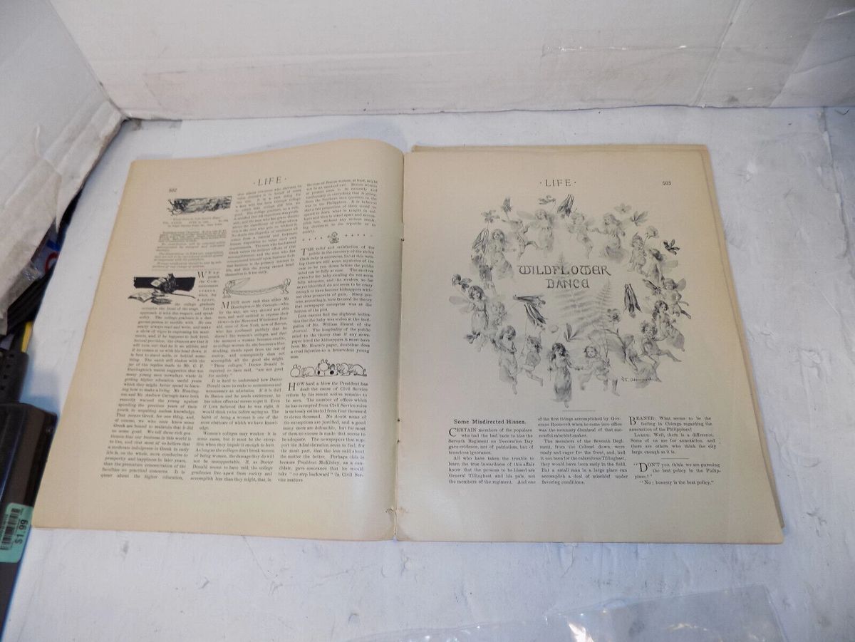 Lot of 2 Vintage Life Magazines June 1 and June 15 1899