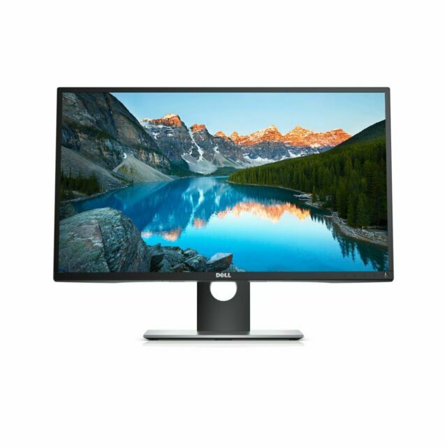 DELL Professional 23.8-Inch Screen LED Computer Monitor (P2417H) VGC