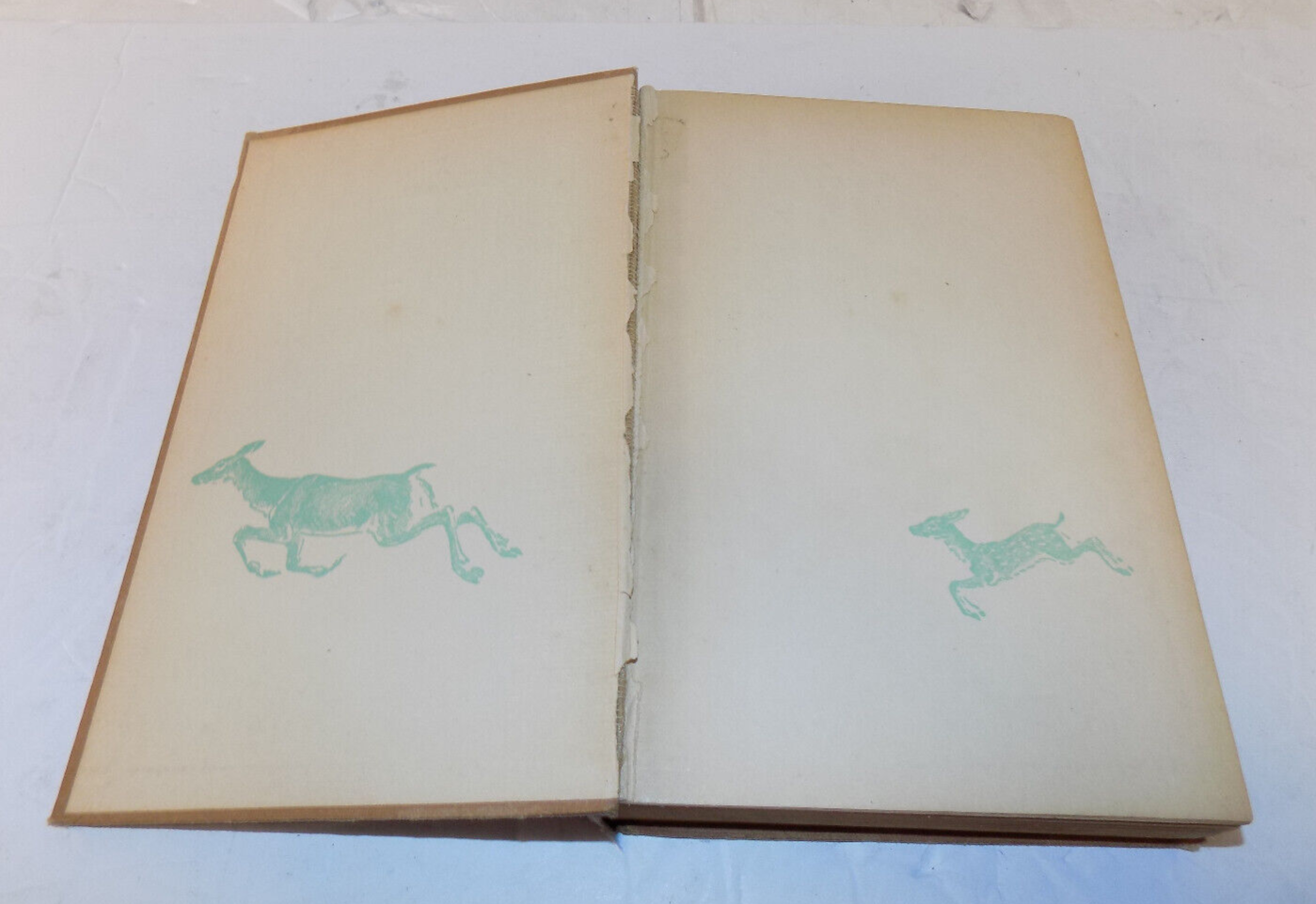 Bambi By Felix Salten Hardcover Book 1929 Publication Grosset & Dunlop