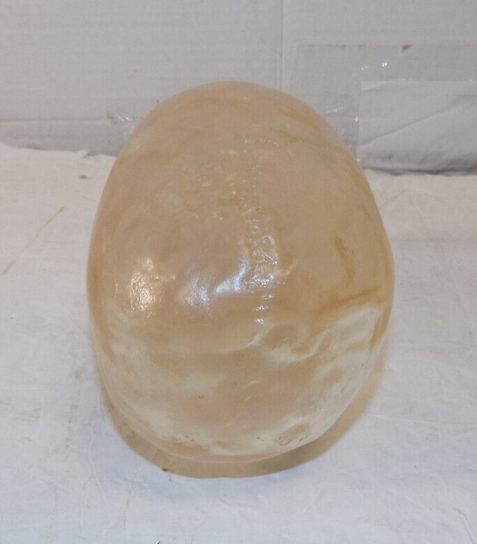 Clear Translucent Acrylic Human Skull 5 Inch x 7 Inch