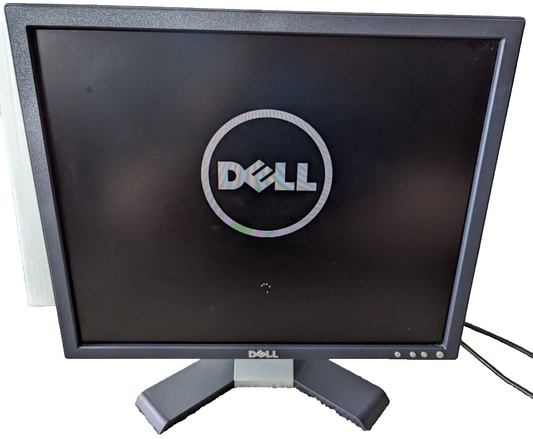 Dell E196FPF 19 Inch Computer LCD Monitor with Power Cable