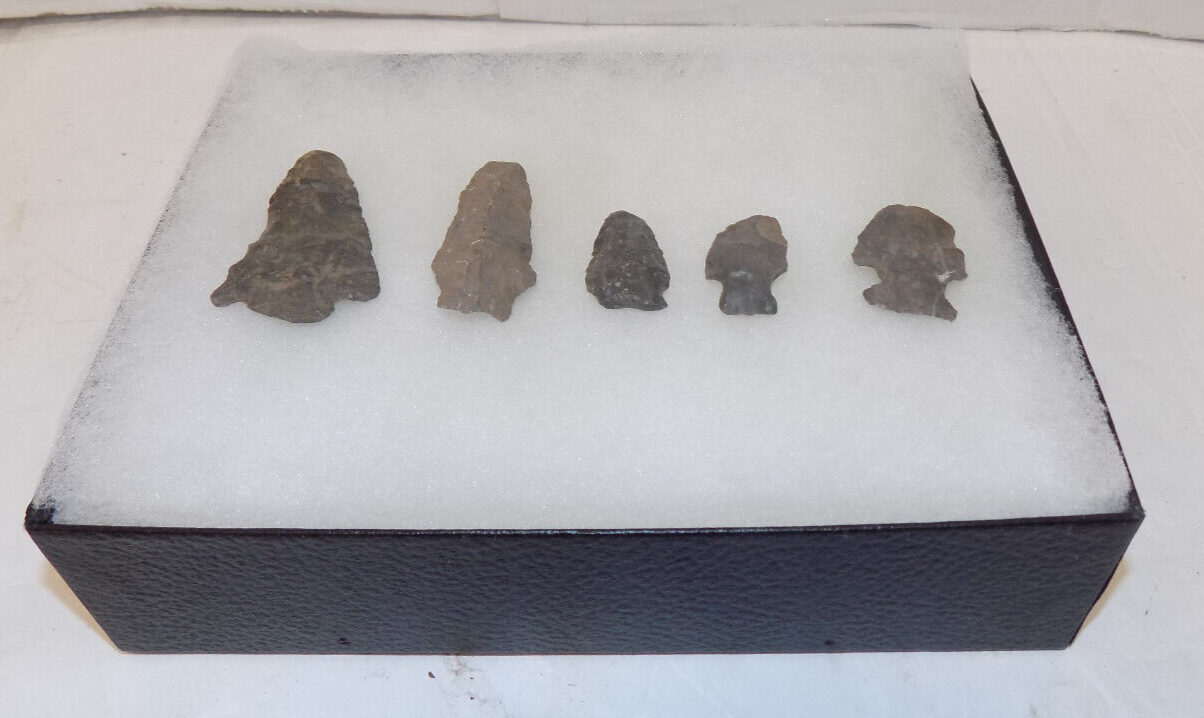 Lot of 5 Native American Indian Arrowhead Artifacts & Display Box