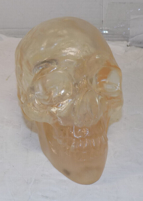 Clear Translucent Acrylic Human Skull 5 Inch x 7 Inch