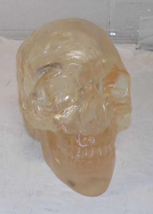 Clear Translucent Acrylic Human Skull 5 Inch x 7 Inch