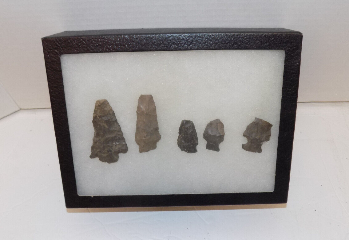 Lot of 5 Native American Indian Arrowhead Artifacts & Display Box