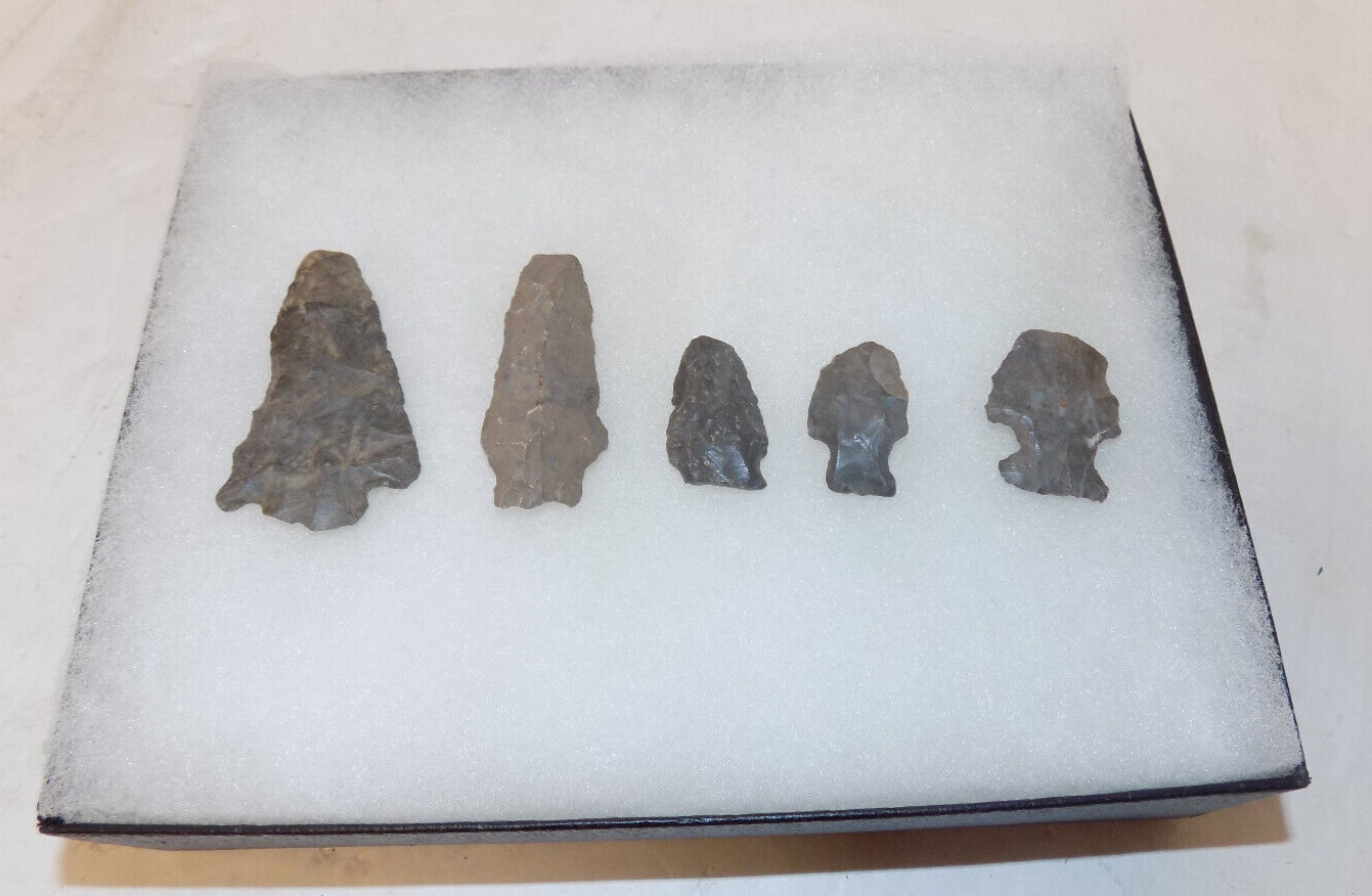 Lot of 5 Native American Indian Arrowhead Artifacts & Display Box